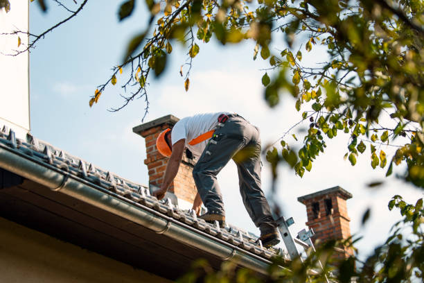 Best Local Roofing Companies  in Winchester, IL