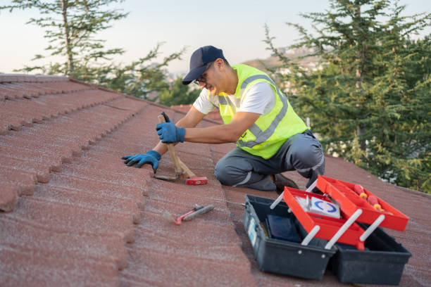 Best New Roof Installation  in Winchester, IL