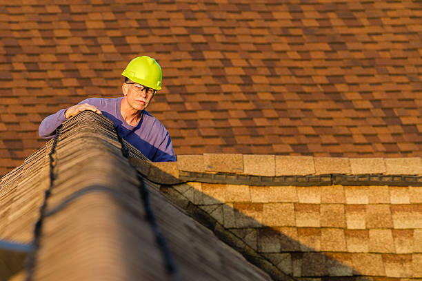Best Roof Maintenance Services  in Winchester, IL